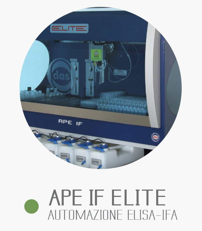 APE IF ELITE-image